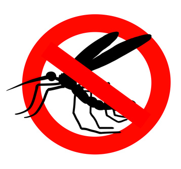 Anti moustique naturel