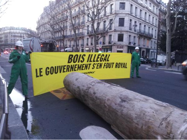 Bois illégal - action de greenpeace 2015 